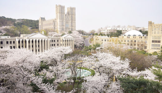 国内評価と世界評価で見る韓国の大学ランキング